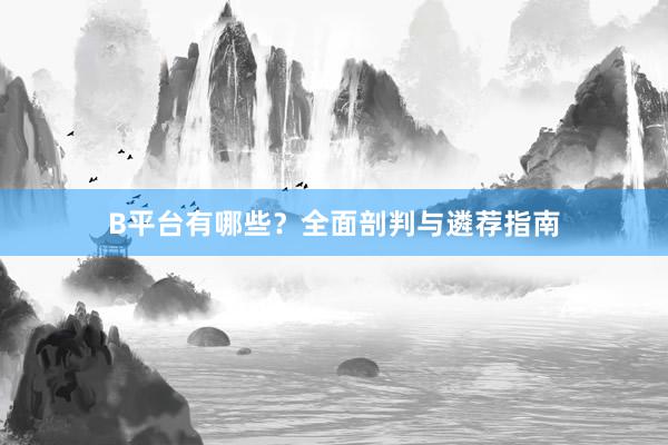 B平台有哪些？全面剖判与遴荐指南