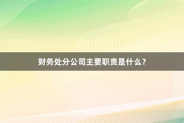 财务处分公司主要职责是什么?